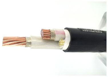 Câble du CEI 60502-1 de deux noyaux | Cu-conducteur de cable électrique d'isolation de XLPE/XLPE/PVC