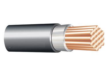 1*120 le millimètre carré 0.6/1 le kilovolt XLPE a isolé le câble (Unarmoured), câble électrique de conducteur de cuivre